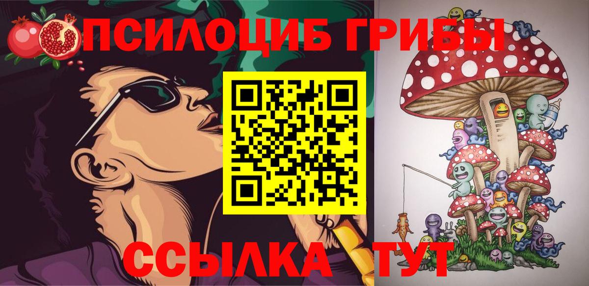 Жуковский  Галлюциногенные грибы MAGIC MUSHROOMS  Галлюциногенные грибы Psilocybe  даркнет сайт  Вход с VPN 
